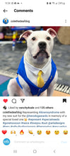 Custom Wedding Dog Tuxedo Suit - Pick your color - custom sizing - White Shirt - Choice of Tie included