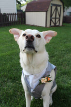 Custom Wedding Dog Tuxedo Suit - Pick your color - custom sizing - White Shirt - Choice of Tie included