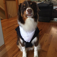 Custom Wedding Dog Tuxedo Suit - Pick your color - custom sizing - White Shirt - Choice of Tie included