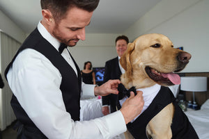 Custom Wedding Dog Tuxedo Suit - Pick your color - custom sizing - White Shirt - Choice of Tie included