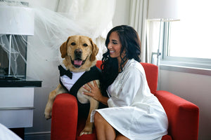 Custom Wedding Dog Tuxedo Suit - Pick your color - custom sizing - White Shirt - Choice of Tie included